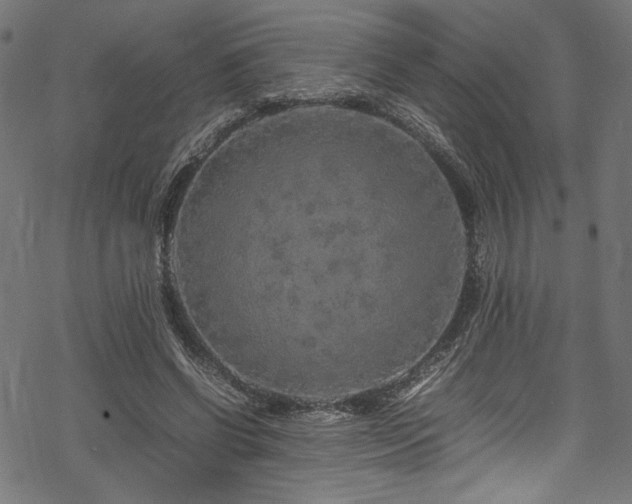 X0000070190542200605261200