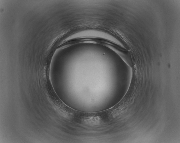 X0000070190543200605261200