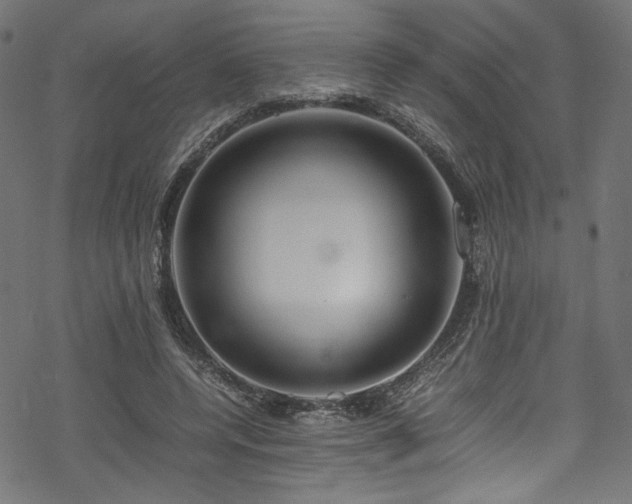 X0000070190544200605261200