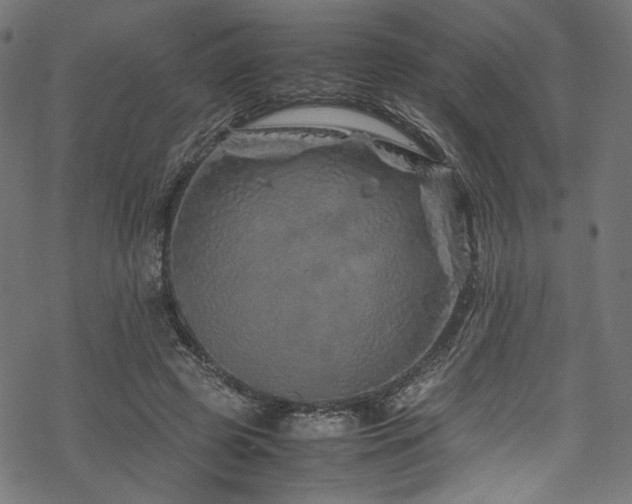 X0000070190545200605261200