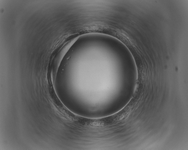 X0000070190546200605261200