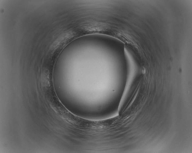 X0000070190547200605261200