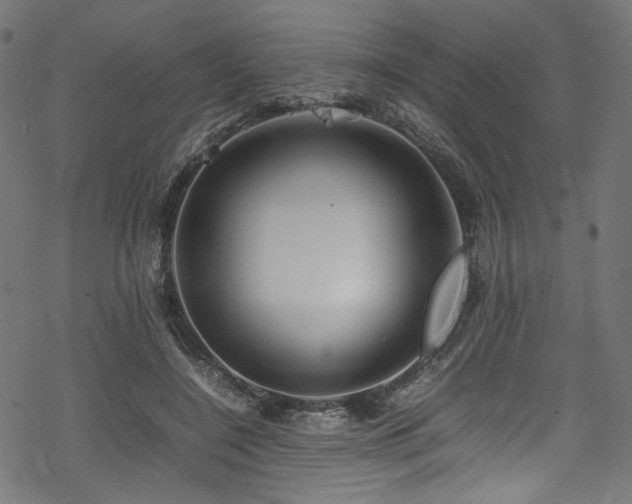 X0000070190548200605261200