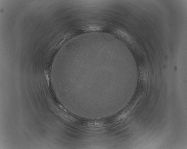 X0000070190549200605261200