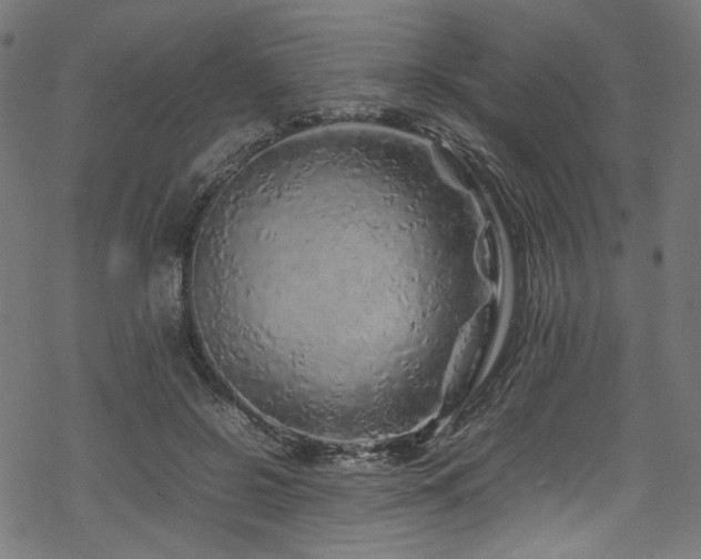 X0000070190550200605261200