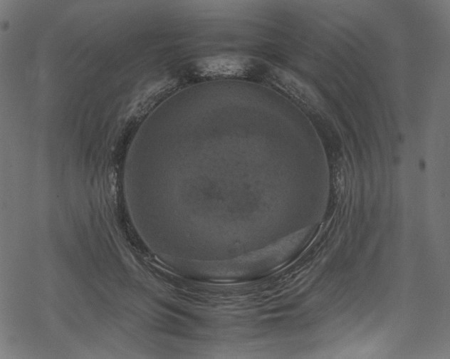 X0000070190551200605261200