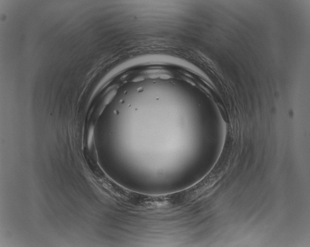 X0000070190552200605261200