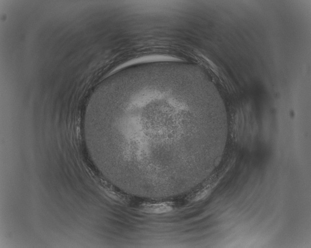 X0000070190553200605261200