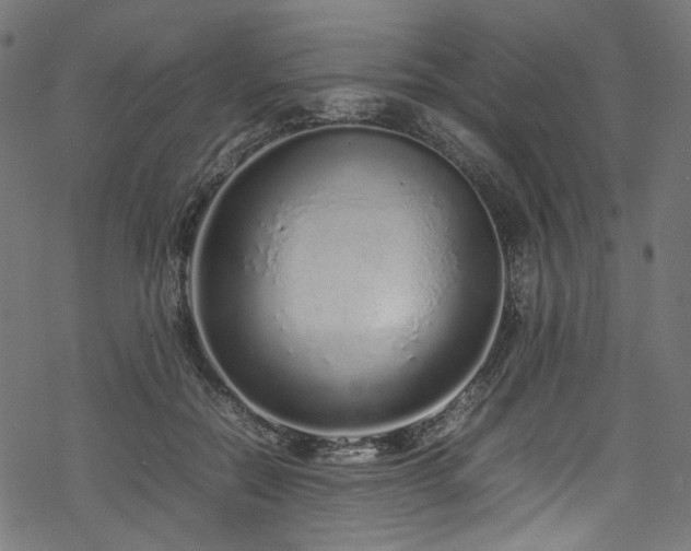 X0000070190554200605261200