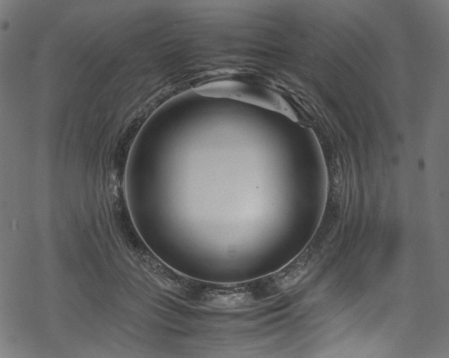 X0000070190555200605261200