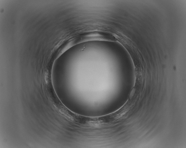 X0000070190556200605261200