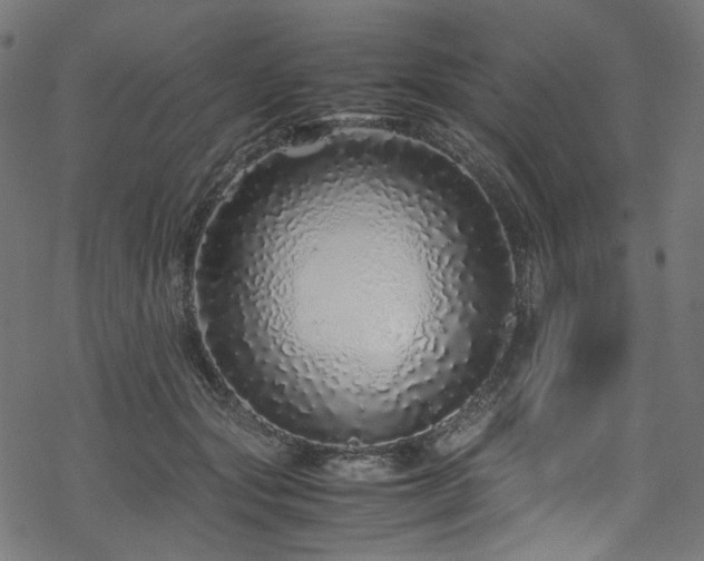 X0000070190557200605261200