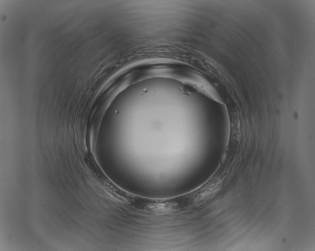 X0000070190558200605261200