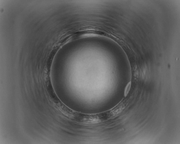 X0000070190559200605261200