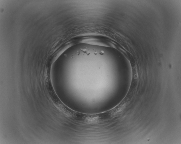 X0000070190560200605261200