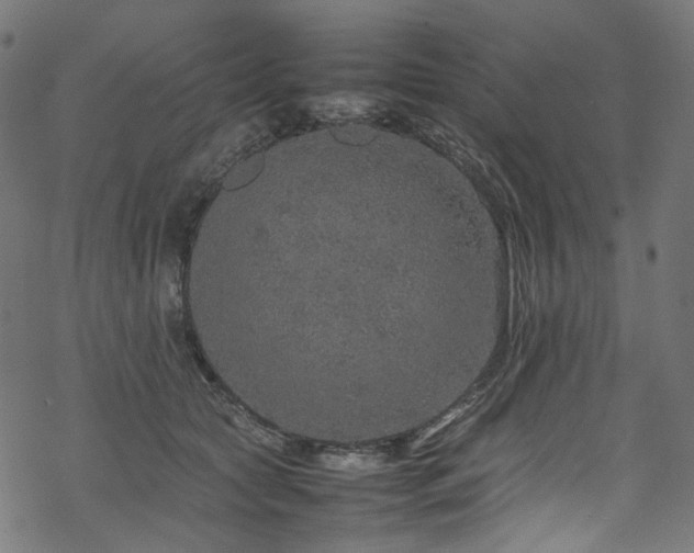 X0000070190561200605261200