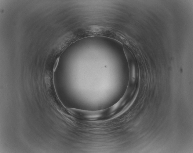 X0000070190562200605261200