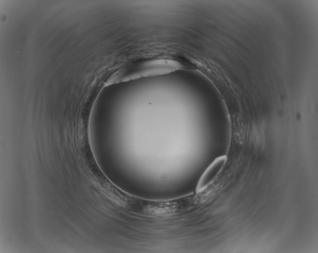 X0000070190563200605261200