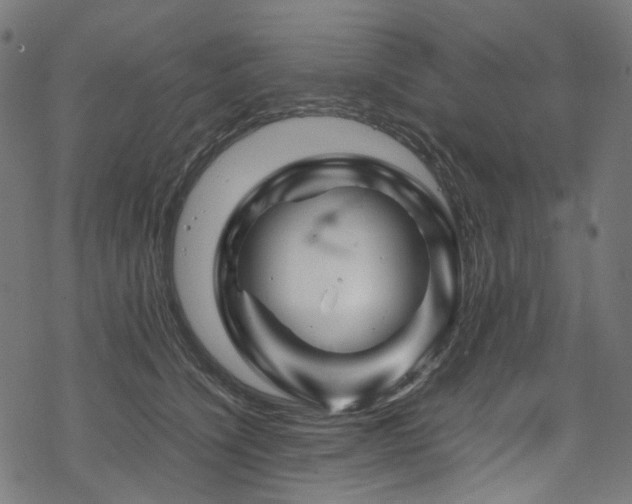 X0000070190564200605261200