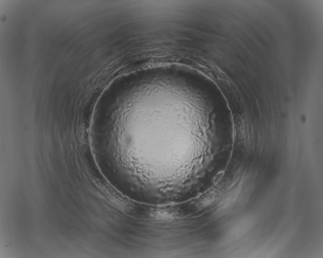 X0000070190565200605261200