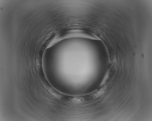 X0000070190566200605261200