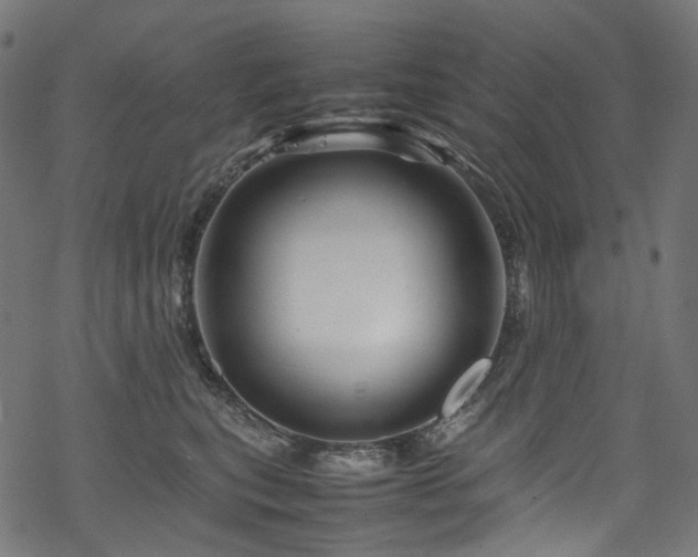 X0000070190567200605261200