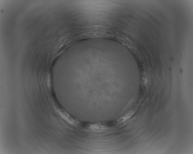 X0000070190568200605261200