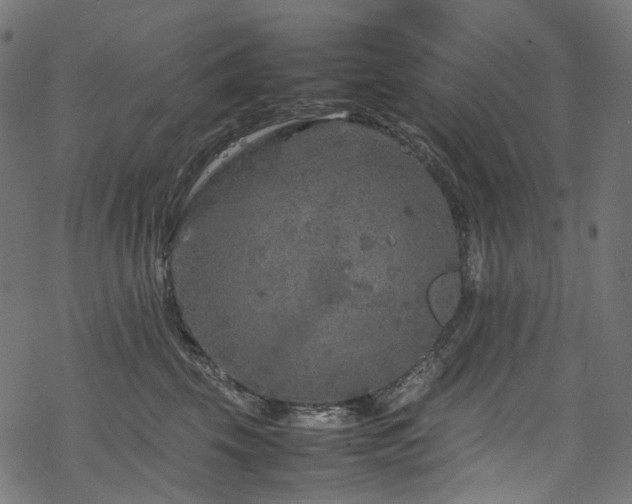 X0000070190569200605261200