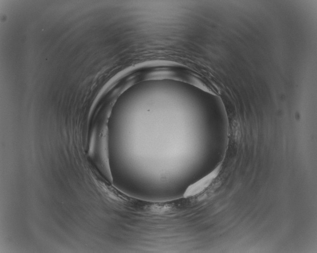 X0000070190570200605261200