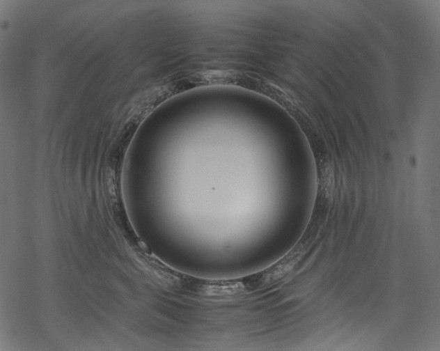 X0000070190571200605261200