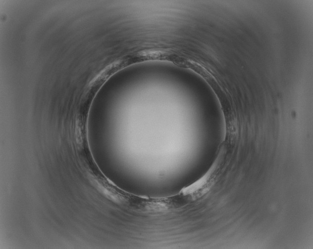 X0000070190572200605261200