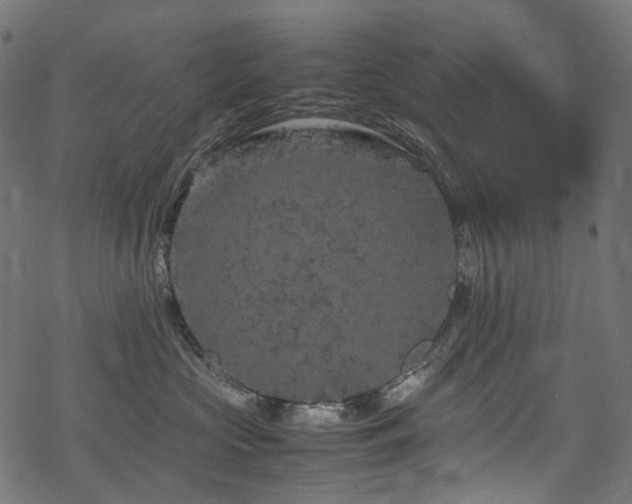 X0000070190573200605261201