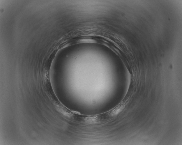 X0000070190574200605261201