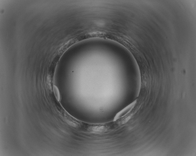 X0000070190575200605261201