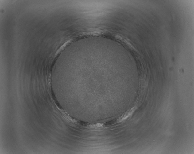 X0000070190576200605261201