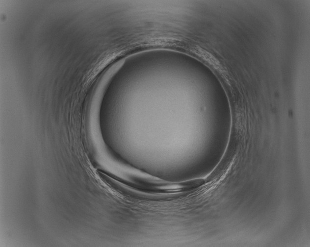 X0000070190577200605261200