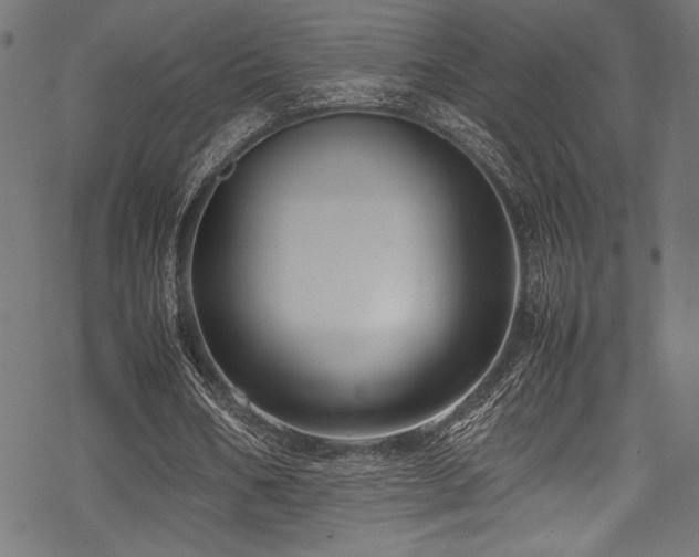 X0000070190578200605261200