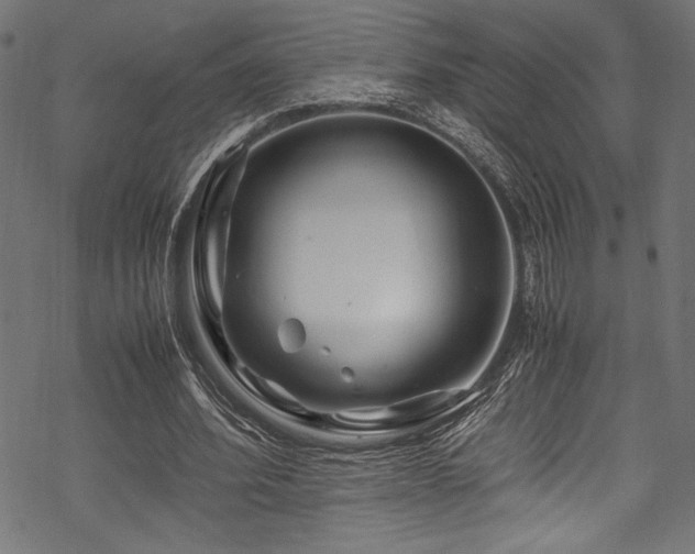 X0000070190580200605261200