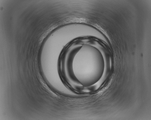 X0000070190581200605261200