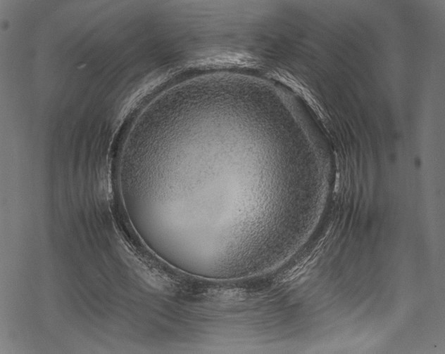 X0000070190582200605261200