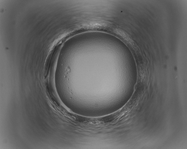 X0000070190583200605261200