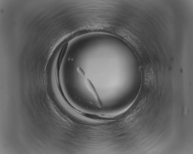 X0000070190584200605261200