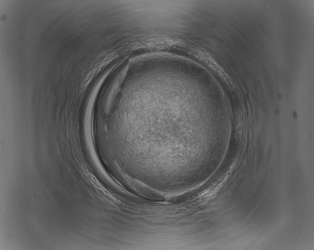 X0000070190585200605261200