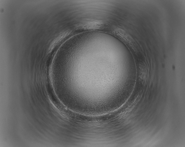 X0000070190586200605261200