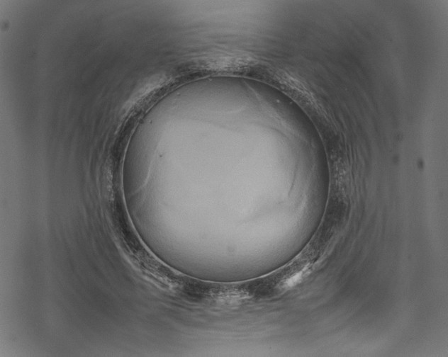 X0000070190587200605261200