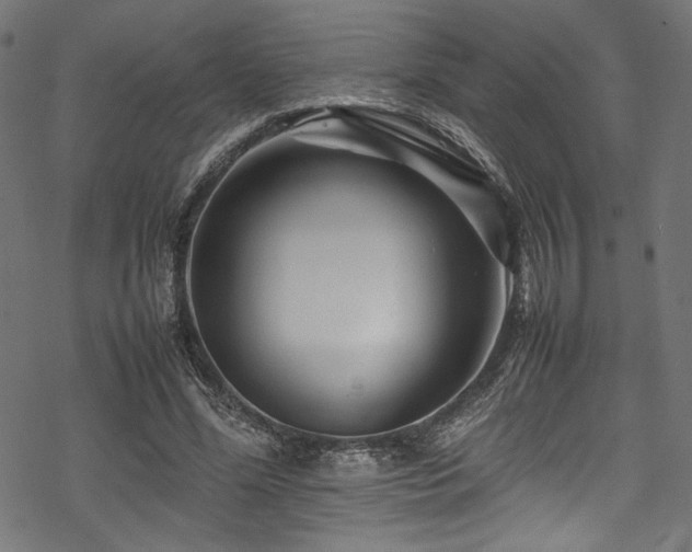 X0000070190588200605261200