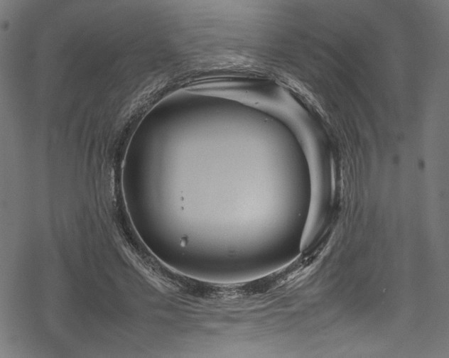 X0000070190589200605261200