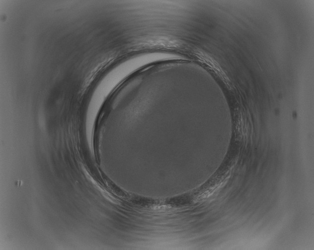 X0000070190590200605261200