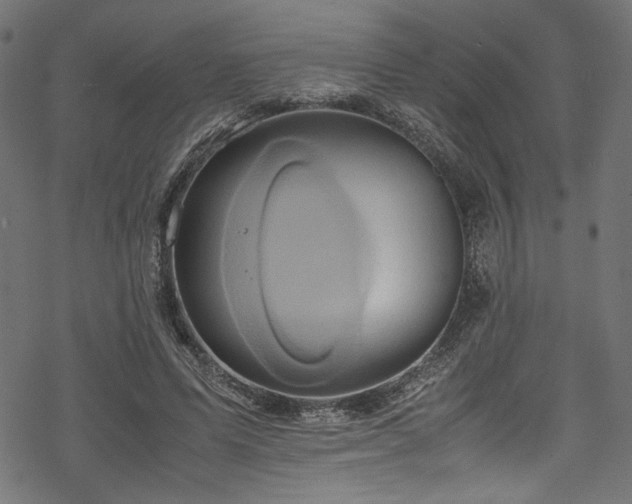 X0000070190591200605261200