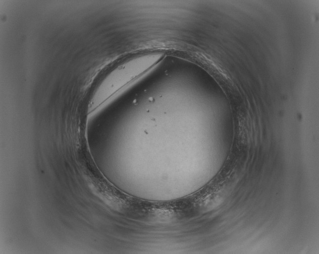 X0000070190592200605261200